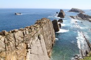 arnia_urros_010