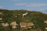 arnia_urros_018