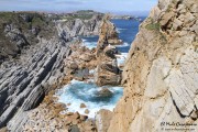 arnia_urros_023
