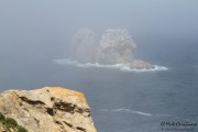 arnia_urros_029