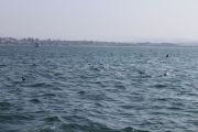 IMG_4995