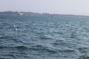 IMG_4996
