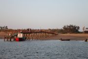 IMG_5242