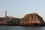 IMG_5344