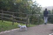 IMG_9487