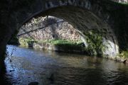 IMG_0470