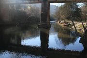 IMG_0484