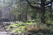 IMG_0489