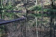 IMG_0491