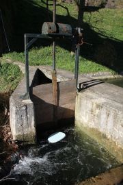 IMG_0504