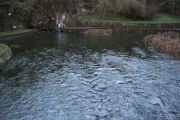 IMG_0533