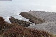 IMG_7054