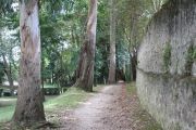 IMG_7141