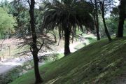 IMG_7146