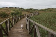 cuchia_suances_003