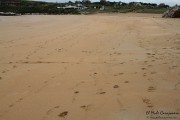 cuchia_suances_005