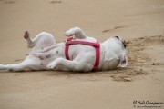 cuchia_suances_009