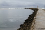 cuchia_suances_012
