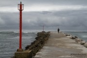 cuchia_suances_015