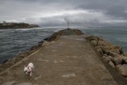 cuchia_suances_021