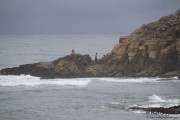 cuchia_suances_023