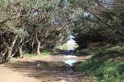 2012_cuca_010
