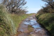 2012_cuca_011