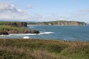 2012_cuca_012
