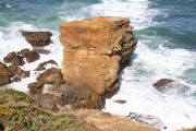 2012_cuca_013