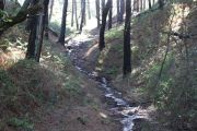 2012_cuca_016