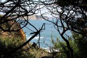 2012_cuca_017