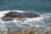 2012_cuca_018