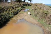 2012_cuca_019