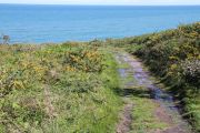 2012_cuca_020