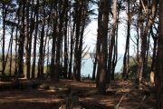 2012_cuca_021
