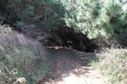 2012_cuca_024
