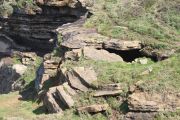 2012_cuca_025