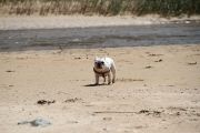 2012_cuca_029