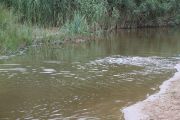2012_cuca_006
