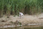 2012_cuca_007