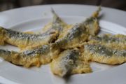 2012_cuca_040