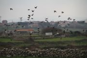 IMG_0785