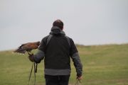 IMG_0801