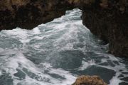 IMG_0821