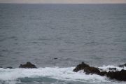 IMG_0830