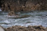 IMG_0831
