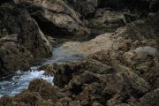 IMG_0833