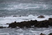 IMG_0834