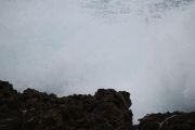 IMG_0850