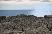 IMG_0872